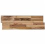 VidaXL Panneaux de revêtement mural 10 pcs 1,03m² Bois de teck recyclé