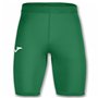 Leggings de sport pour homme Joma Sport Brama Vert (S/M)