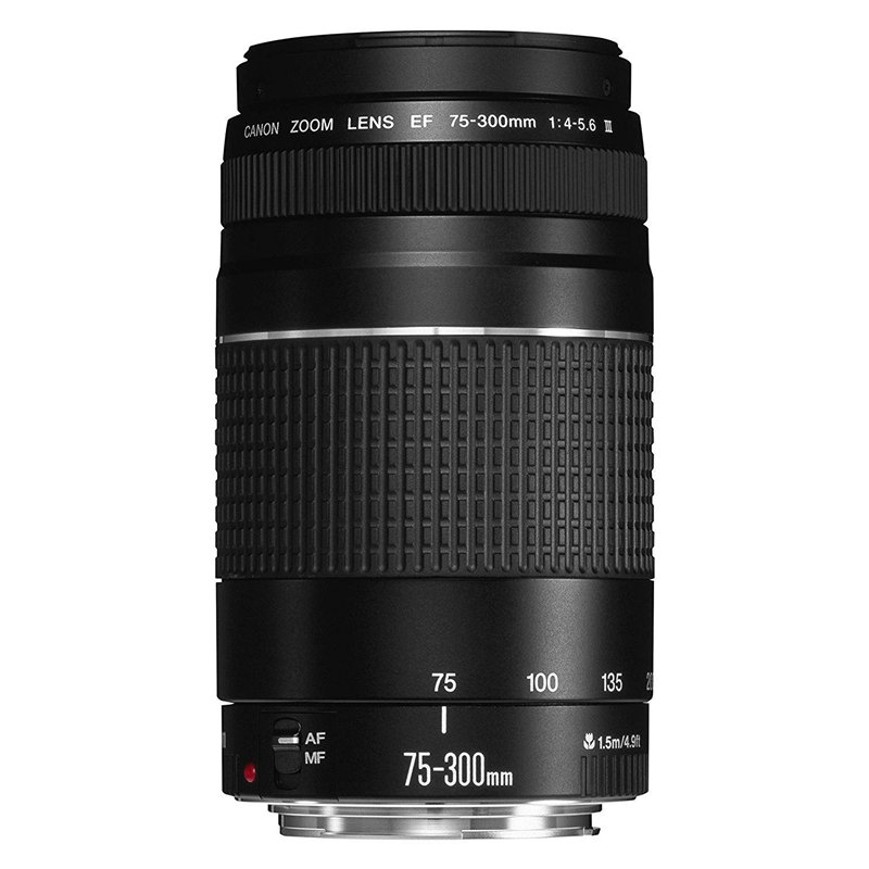 Canon 6473A003 Objectif pour Reflex EF 75-300mm f / 4.0-5.6 III, noir