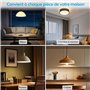LoraTap Lot de 2 Interrupteur WiFi Alexa Sans Fil, MINI TAILLE, Récepteur 2500W 10A, Commutateur Connecté Intelligent, Commande