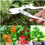 Sécateur,GWCLEO Jardin Sécateur avec Lame en Acier à Carbone élevé,Sécateur avec Verrouillage de Sécurité,Ciseaux de Jardin avec