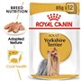 Royal Canin Nourriture pour Chien Mini Yorkshire 85 g - Lot de 12