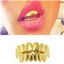 Grilles de Dents de Hip-hop d'or pour la Bouche Haut Bas,Grille de Dents Brillant Our la Bouche Top Bottom,avec 2 Barres de Moul