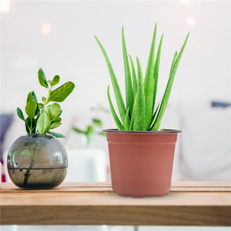 Image secondaire de Lot de 50 Pots de en Plastique Pots de Fleurs Pots de Plantes Plastique De Plantes À Fleurs Graine De Démarrage Pot (Diamètre 12