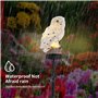 Wovatech Hibou solaire lumières jardin extérieur - lampe de pelouse hibou LED étanche - lumière créative de paysage de nuit pour
