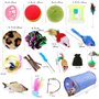 HEPAZ Kit Jouet Chats,32 pièces Jouet pour Animaux Domestiques Toys pour Chat Minou,Jouet De Boule, Tunnel Jeu pour Chaton