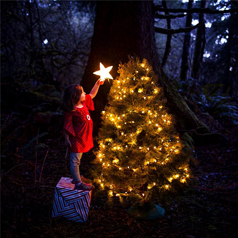 Image secondaire de Hoteril Guirlande Lumineuse, Lumières de Noël 130LED 13M Intérieur et Extérieur 8 Modes Etanche Guirlande Led à Pile pour Noël M