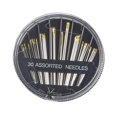 Ensemble de 30 Aiguilles à Coudre