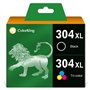 ColorKing Cartouches d'encre Remanufacturées Remplacement pour HP 304 304XL pour Envy 5032 5030 5020 5010 DeskJet 2620 2622 2630