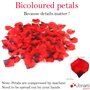 Bougies Romantiques et Pétales. 50 Bougies en Forme de Coeur + 1000 Pétales de Rose Rouges en Soie, 5 Ballons Coeur Rouges - Déc