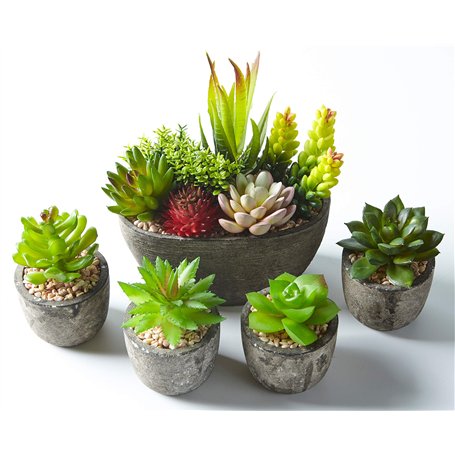 Jobary Ensemble de 5 Pots artificiels Succulents (Comprenant 10 Plantes)