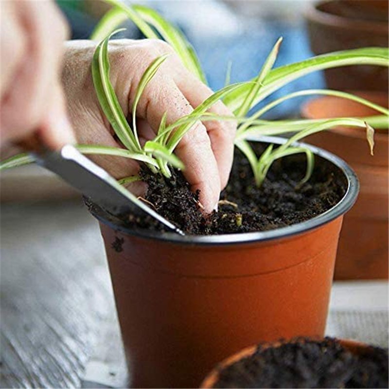 Image secondaire de Pot de Fleur Petit, NETUME 100PCS Plastique Réutilisables Pot semis/Godets Semis,Ronds Pots Plantes/Pot de Repiquage/Pot de Cult