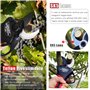 Laecabv Ciseaux de taille électriques de 40 mm progressifs ciseaux de taille à batterie téflon revêtus lames pour olive, vignobl