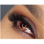 FreshTone Lentilles De Contact De Couleur Honey 3 Ton Kit De Rangement Boitier Pince et applicateur Offert 12 Mois sans correcti
