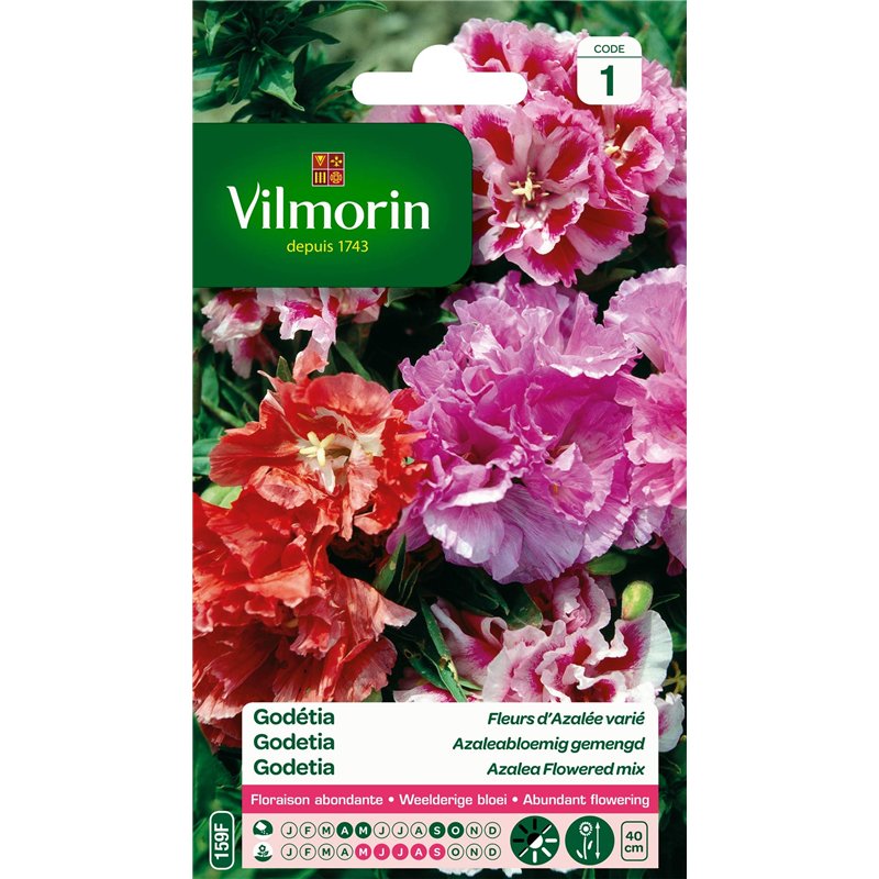 VILMORIN - Godétia Double à Fleurs d'Azalée en mélange- semences pour plantations - Fleurs Basses 40 cm annuelles - pour Un Jard