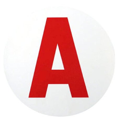 ADNAuto Disque A jeune conducteur electrostatique