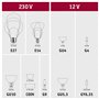 Paulmann 28664 Ampoule LED à filament avec miroir de tête Argenté 2700 K 2,6W E27