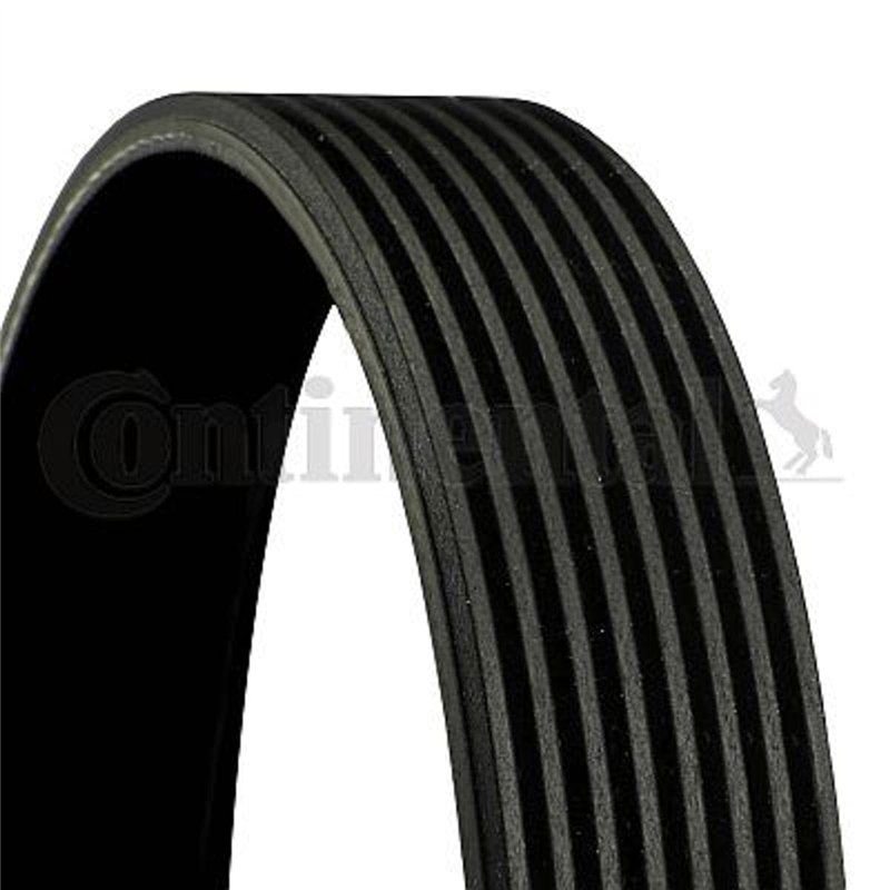 Continental 8PK1162EXTRA Courroie striée