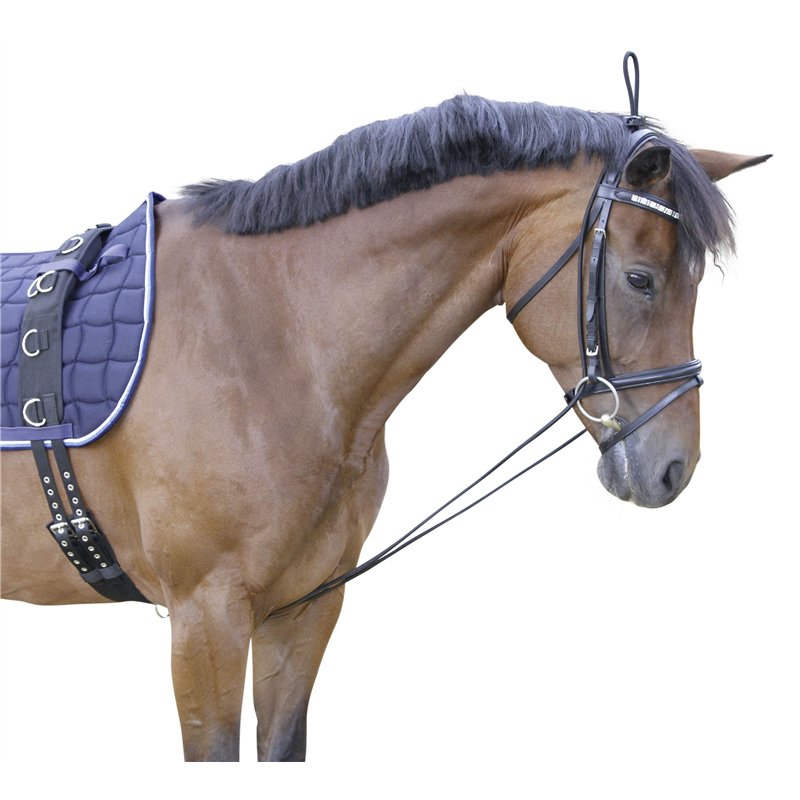 Image secondaire de Covalliero KERBL Enrênement Élastique pour Cheval