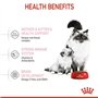 Royal Canin Mother & Babycat | 400 g | Aliments secs pour chats | Spécialement conçu pour le chat et ses chatons | Pour renforce