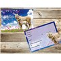 Edition Colibri (10780 FR 10 invitations en Français CHEVAUX/Equitation: lot de 10 cartes d'invitation tendres et illustrées ave