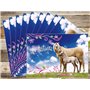 Edition Colibri (10780 FR 10 invitations en Français CHEVAUX/Equitation: lot de 10 cartes d'invitation tendres et illustrées ave
