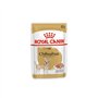 Royal Canin Chihuahua pour chien adulte Nourriture
