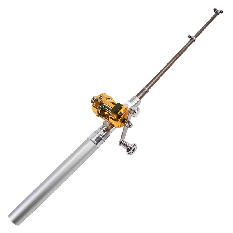 DIGIFLEX Mini Canne à pêche de Poche argentée avec Moulinet doré