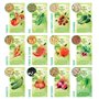 HERBAL AGE Cultivez Votre Propre Potager – 12 Variétés De graines De légumes, 5100 graines Prêtes A Etre Cultivées – Kit De Plan