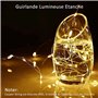 Girlande de Lumière à Piles Lot de 20 Fil en Cuivre 1m avec 10 LEDs Blanc Chaud pour Décoration Anniver