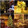 Guirlande Lumineuse LED, Girlande de Lumière à Piles Lot de 20 Fil en Cuivre 1m avec 10 LEDs Blanc Chaud pour Décoration Anniver
