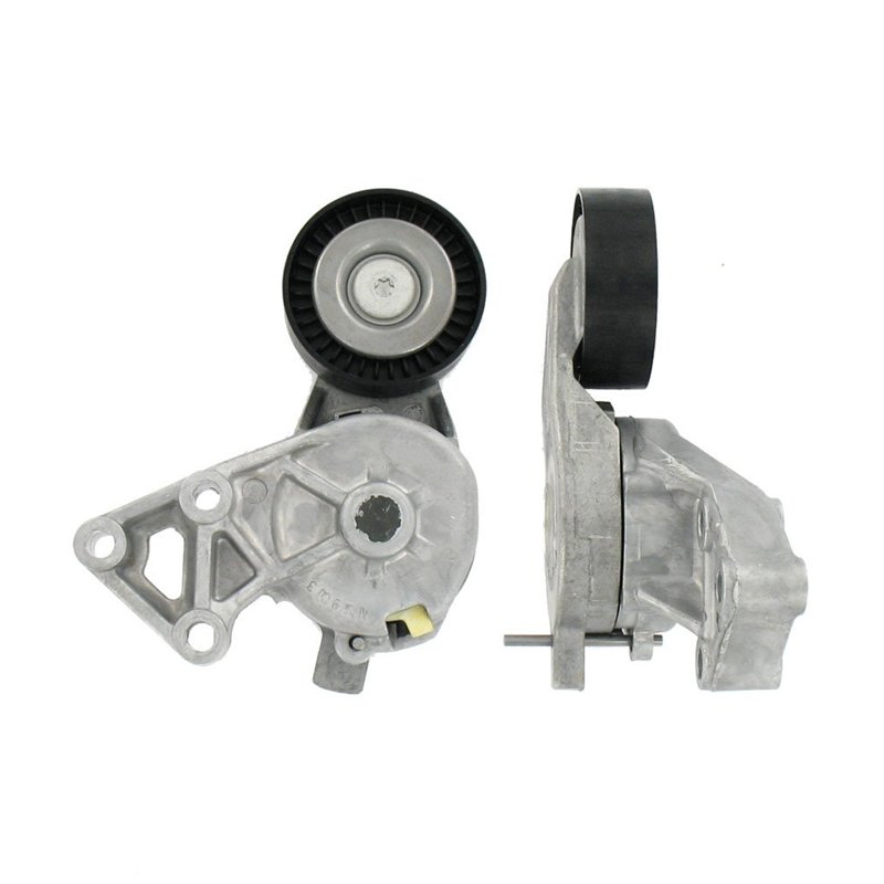 SKF VKM 31019 Kit de galet enrouleur multi-V