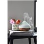CALEX Diffuseur d'arômes Intelligent - Humidificateur WiFi - Diffuseur d'arômes contrôlé par Application - Humidificateur avec R