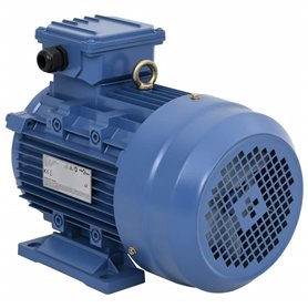 vidaXL Moteur Electrique Triphasé Moteur à Courant Alternatif Compresseur Palan Treuil Entraînement de Poulie 4kW/5