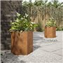 vidaXL Jardinières 2 pcs hexagone 46x40x45 cm Acier résistant aux intempéries, jardinière de Fleurs, jardinière de Patio, jardin