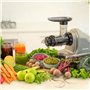 Extracteur de Jus BioChef Axis Cold Press Juicer - Extracteur Masticateur Horizontal pour Herbe de Blé, Fruits et Légumes avec 2