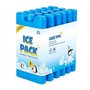 Anstore Lot de 6 Pains de Glace Blocs Réfrigérants de 16 x 9 x 2 cm/210 ML, Blocs Réfrigérants pour Glacières, Réutilisable Conc