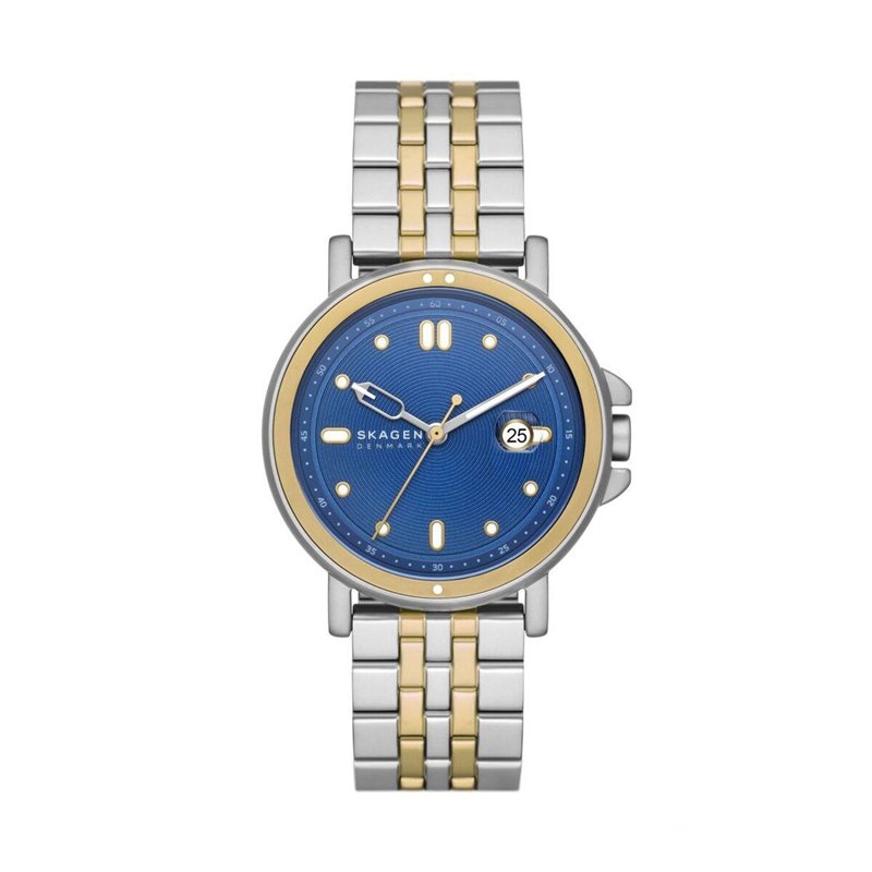 Montre Homme Skagen SKW6921 Argenté (Ø 40 mm)
