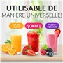 Vandenberg [L'ORIGINAL] - Slow Juicer de légumes et de fruits - [150 W] - Extracteur de jus électrique avec fonction d'inversion