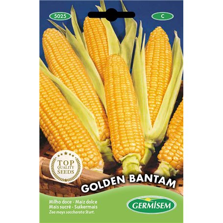 Germisem graines Maïs sucré GOLDEN BANTAM