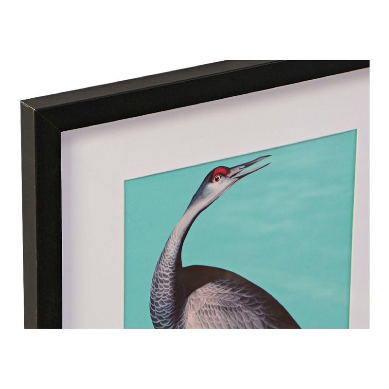 Image secondaire de Cadre DKD Home Decor S3013651 Oiseaux Tropical (35 x 2 x 45 cm) (4 Unités)
