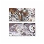 Cadre DKD Home Decor Tigre Colonial (80 x 1