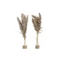 Plante décorative DKD Home Decor Plumes PVC Fibre (35 x 25 x 55 cm) (2 Unités)