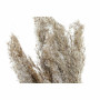 Plante décorative DKD Home Decor Plumes PVC Fibre (35 x 25 x 55 cm) (2 Unités)