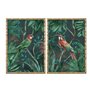 Cadre Home ESPRIT Vert Perroquet Tropical 50 x 2