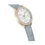 Montre Homme Swarovski 5702851 Argenté