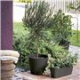 Jardiniere - DEROMA - Origin - 12 L - Anthracite