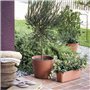 Pot de fleurs - DEROMA - Origin - 9,6 L - Terre cuite
