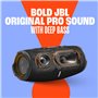 JBL Charge 5 Haut-Parleur sans Fil Portable Wi-FI