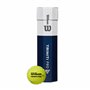 Wilson Balles de Tennis Triniti Pro, Jaune, 1 x 4 Balles